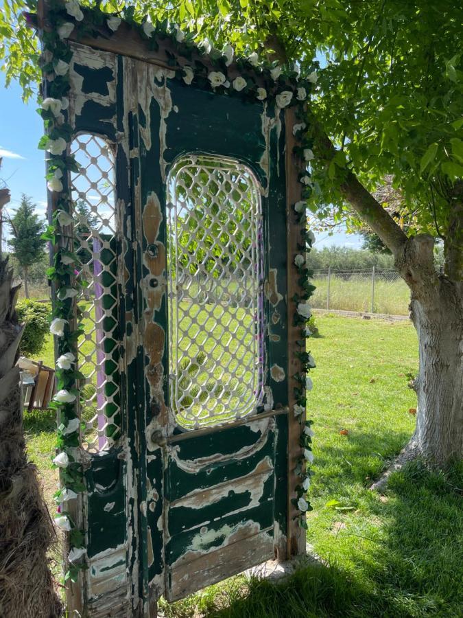 Mama'S Sunshine Garden Villa Agios Ilias  المظهر الخارجي الصورة