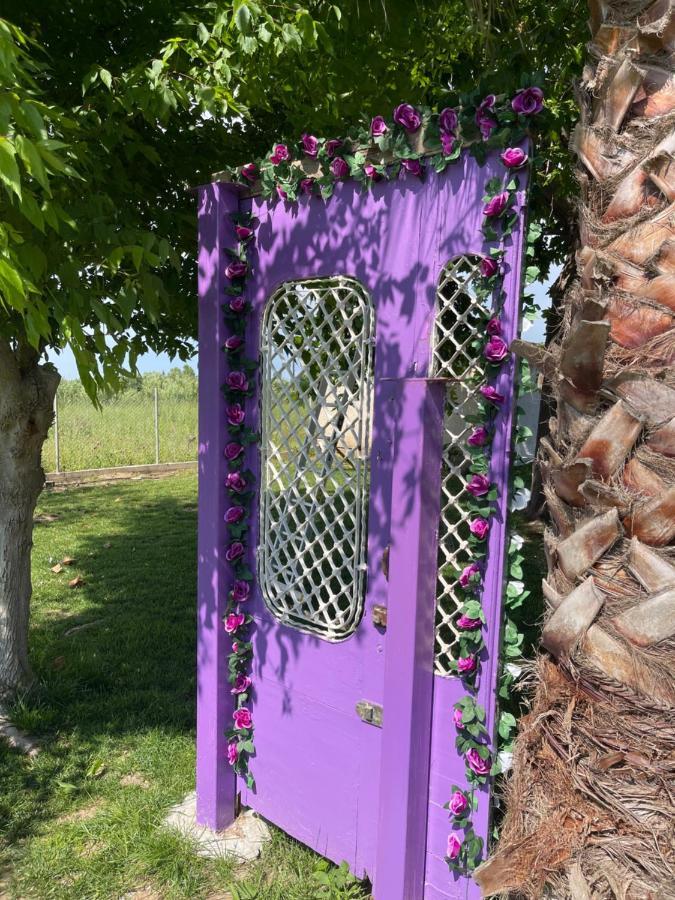 Mama'S Sunshine Garden Villa Agios Ilias  المظهر الخارجي الصورة