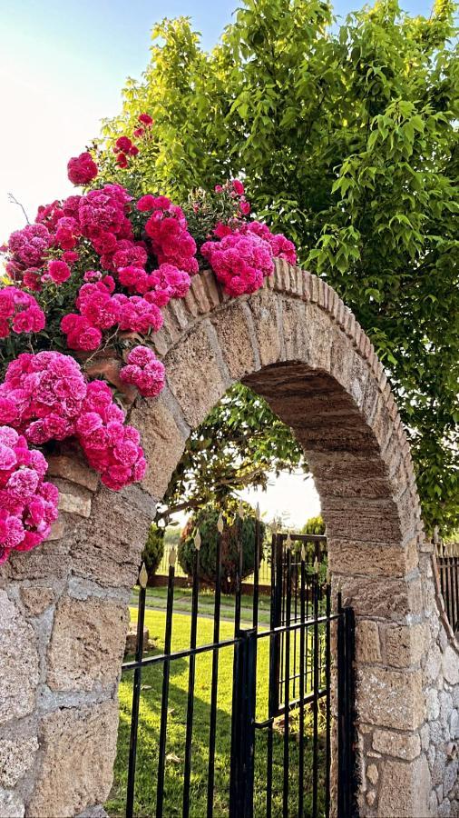 Mama'S Sunshine Garden Villa Agios Ilias  المظهر الخارجي الصورة