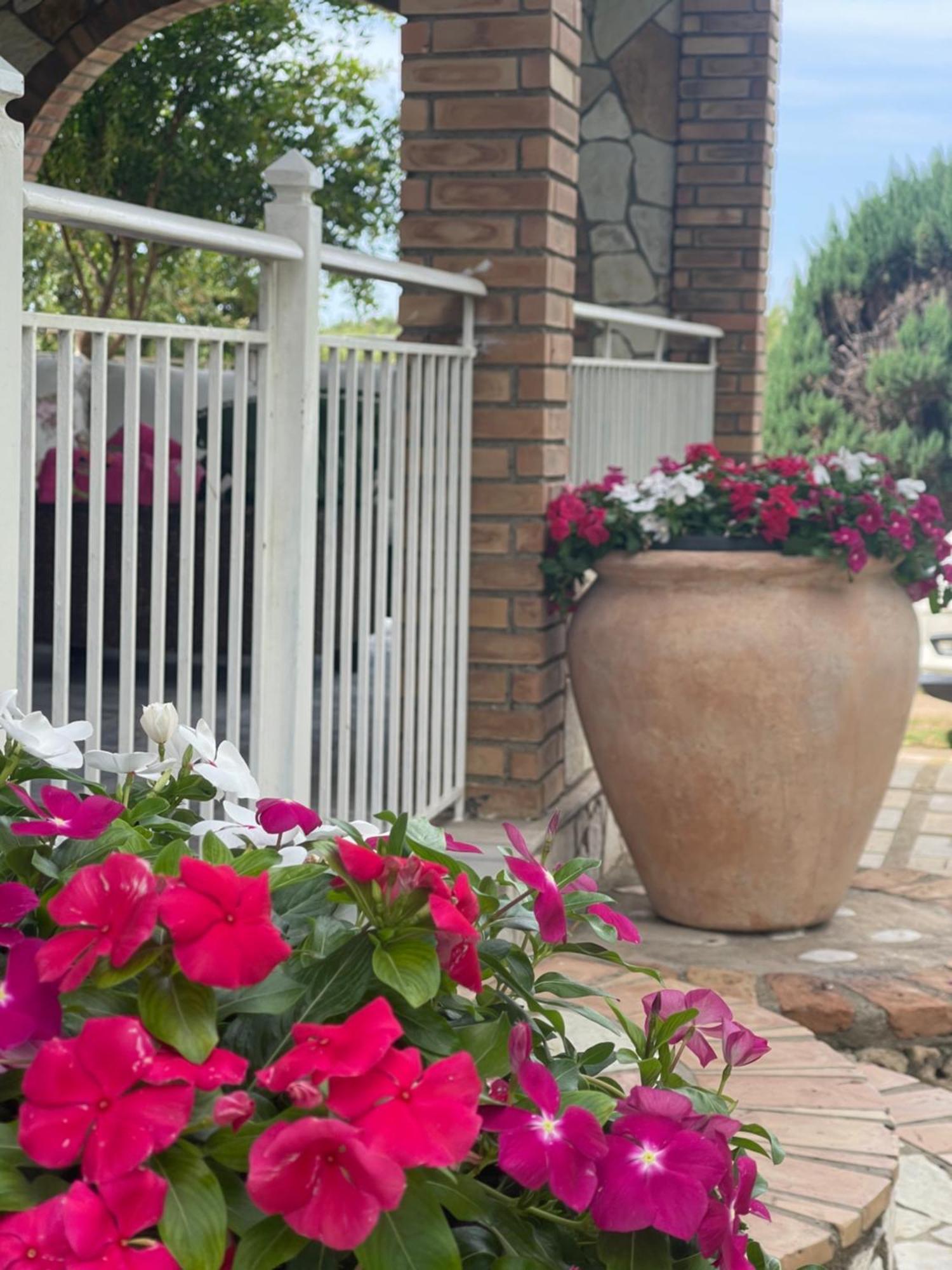 Mama'S Sunshine Garden Villa Agios Ilias  المظهر الخارجي الصورة