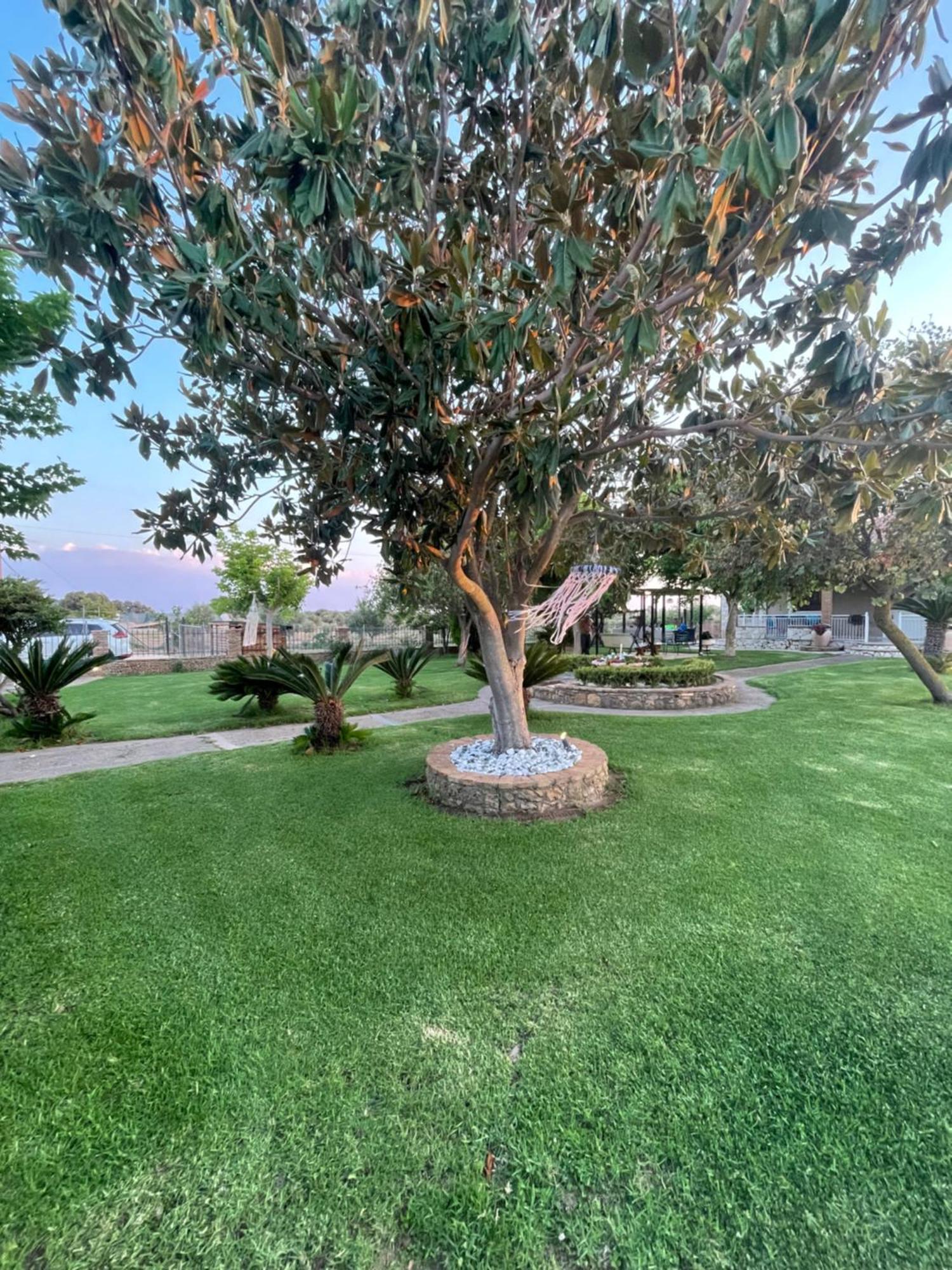Mama'S Sunshine Garden Villa Agios Ilias  المظهر الخارجي الصورة